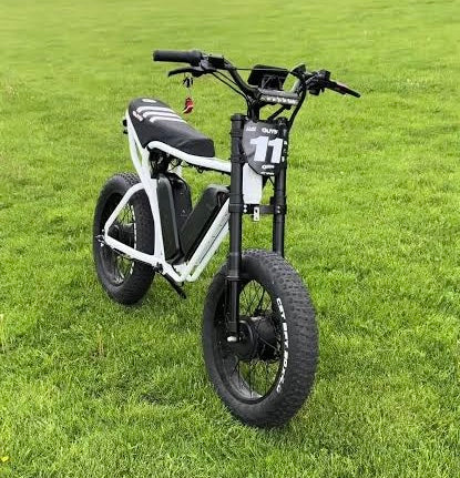PLUG AND PLAY Baja Light for YVY, RIDSTAR q20/q30, Macfox, super 73, and any other 3 pin e-bikes